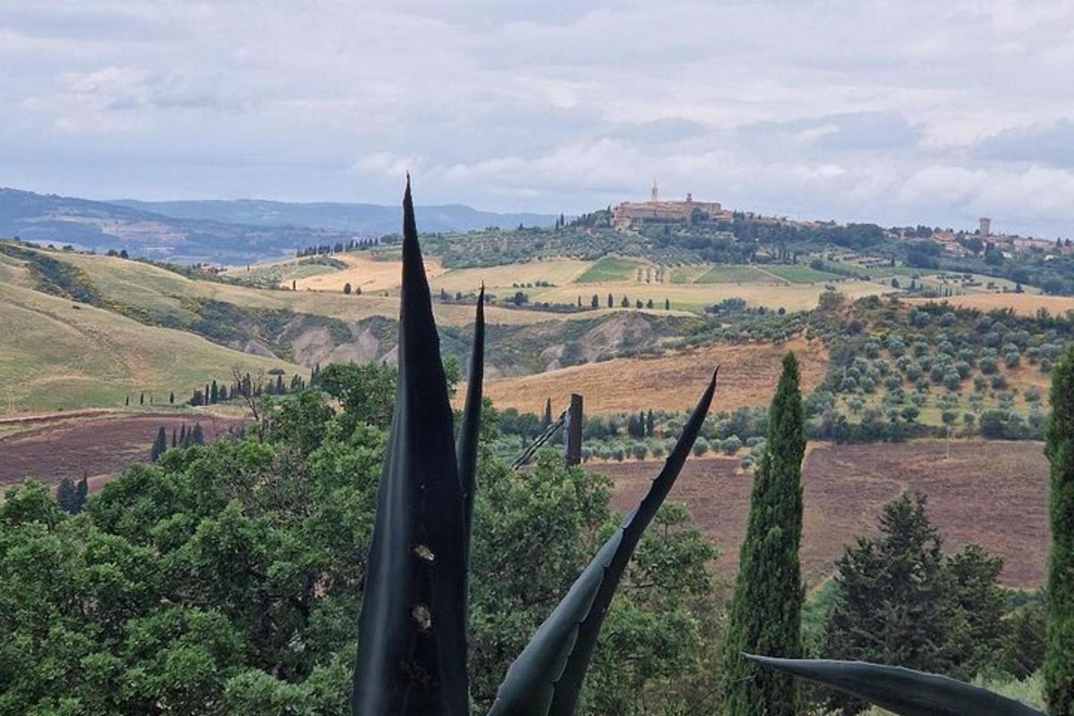 pemandangan padang dengan pokok dan gunung