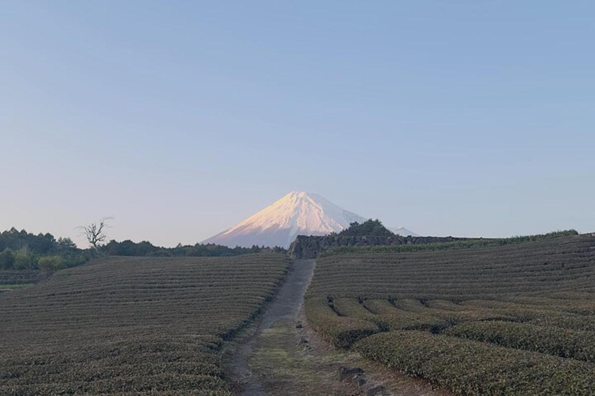 una montagna in mezzo a un campo con una strada sterrata