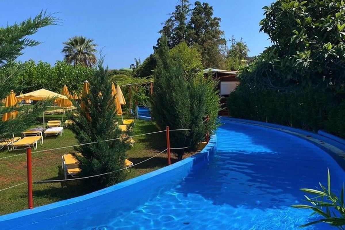 isang swimming pool na may mga christmas tree sa isang resort