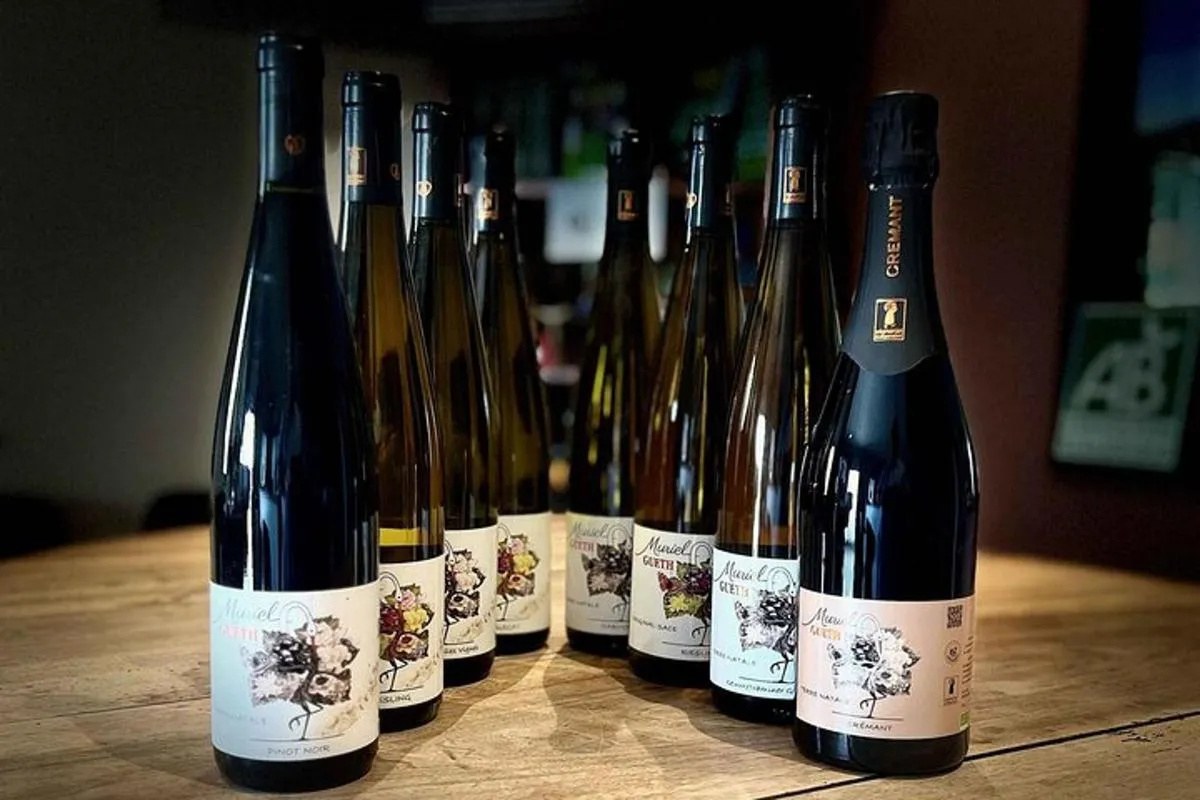 The Organic Treasures of Alsace An Invitation to Tasting – photo 1