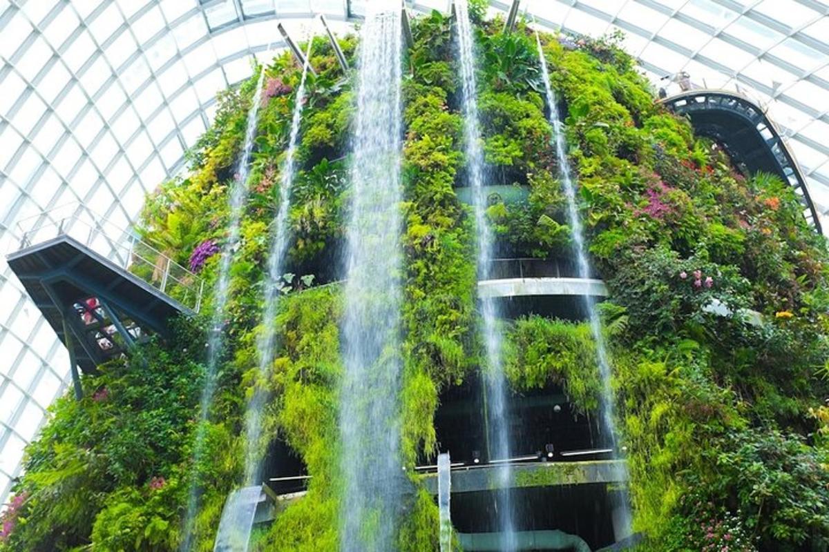 air terjun di rumah kaca dengan tanaman dan bunga