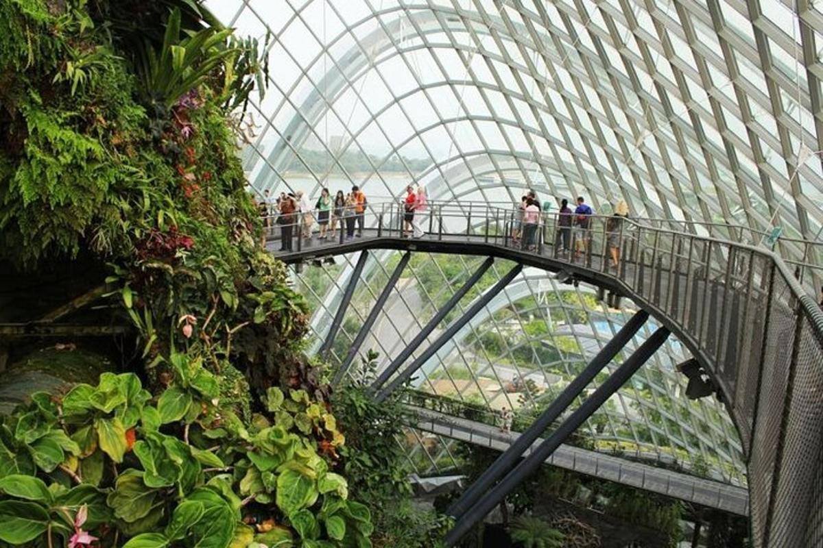 sekelompok orang di jembatan di hutan awan