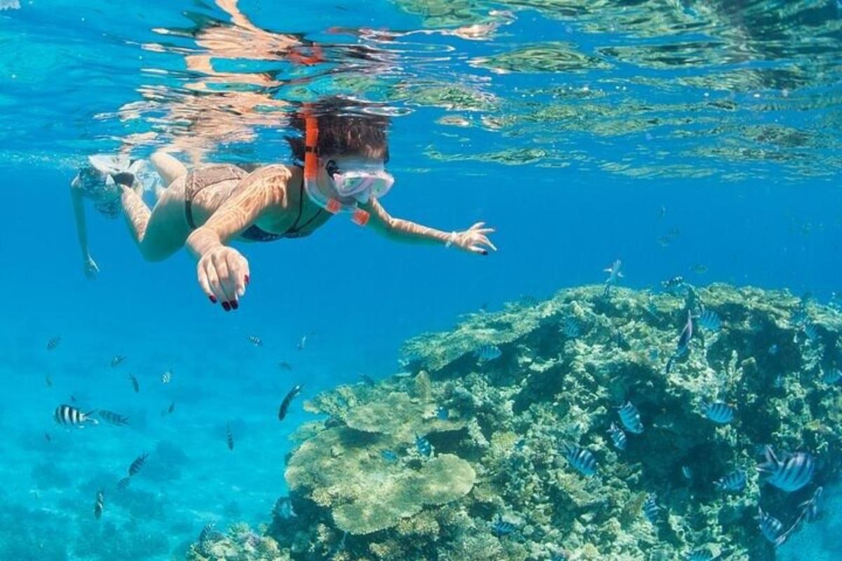 a person swimming in the water near a reef