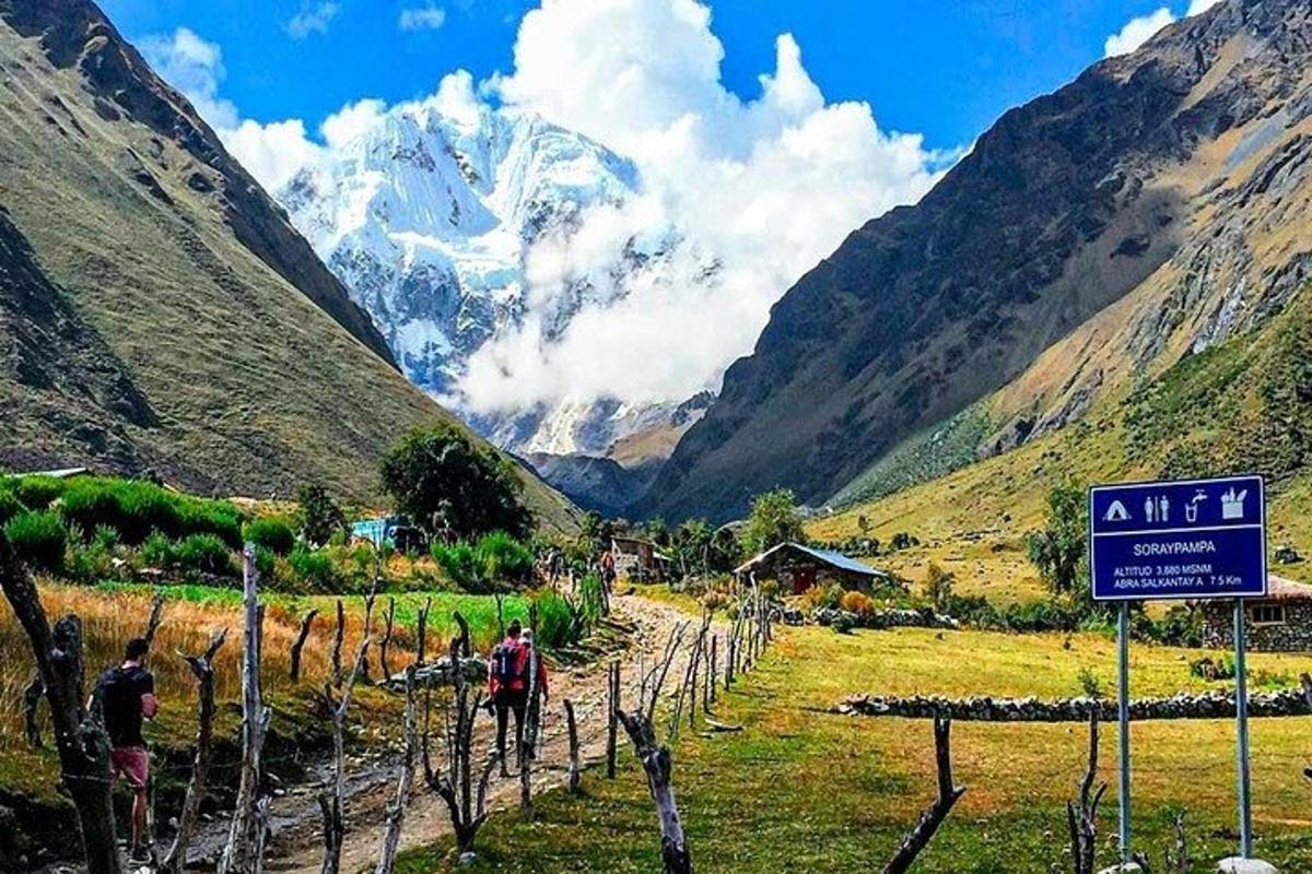 un gruppo di persone che camminano in un campo con una montagna