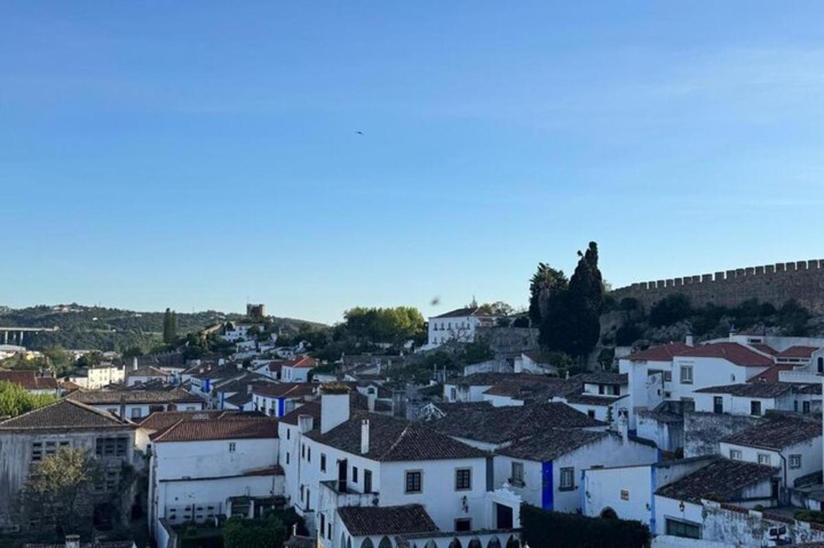 uma vista de uma cidade com casas brancas