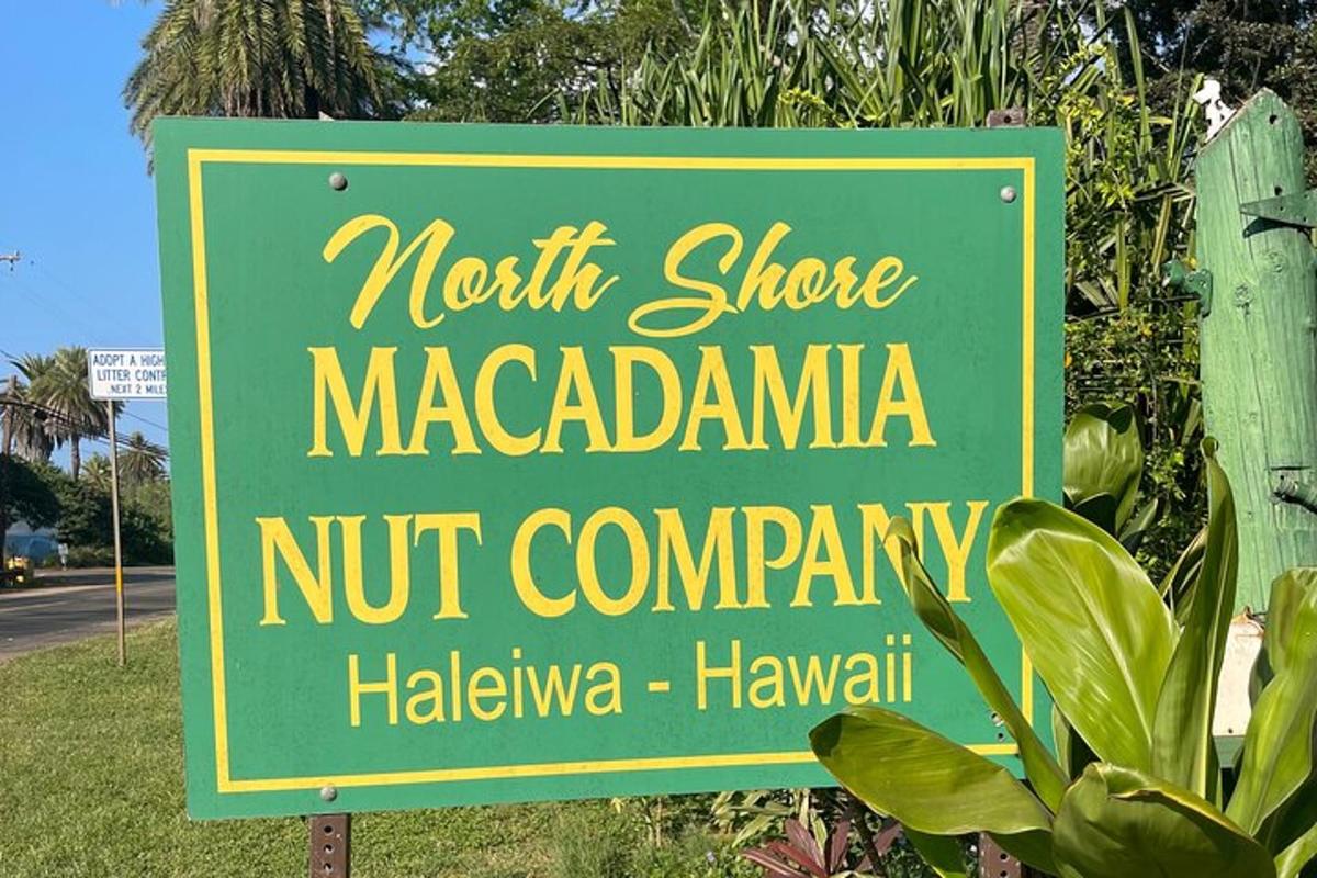 uma placa para uma empresa de nozes de macadâmia da costa norte