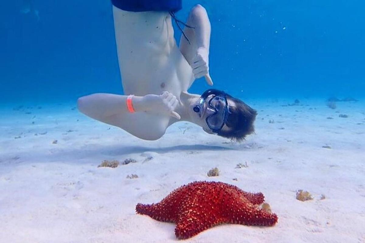 一名女子在海星旁边的水中潜水