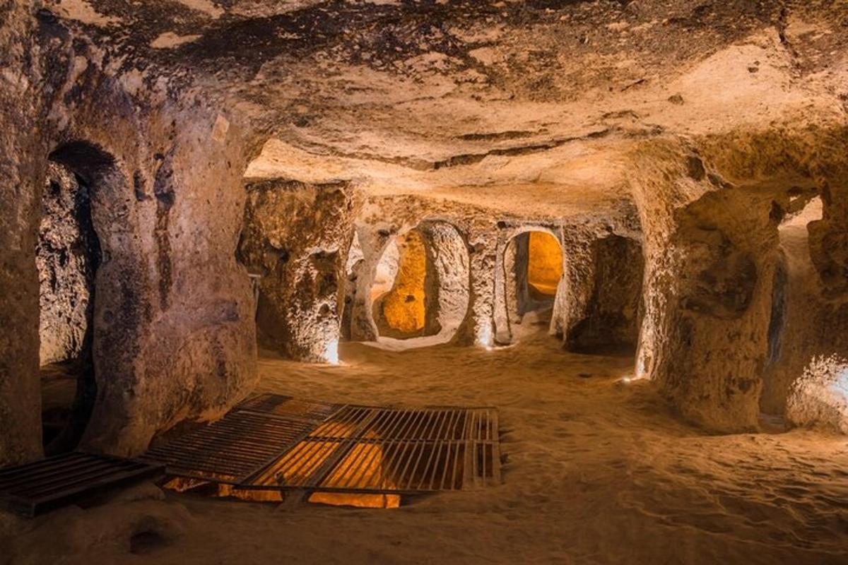 a cave with a gate in the middle of it