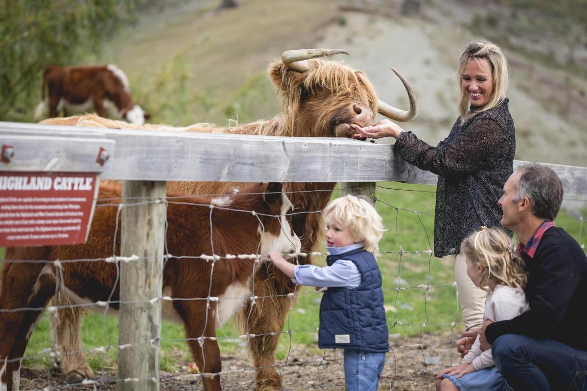 a woman and children looking at a cow behind a fence