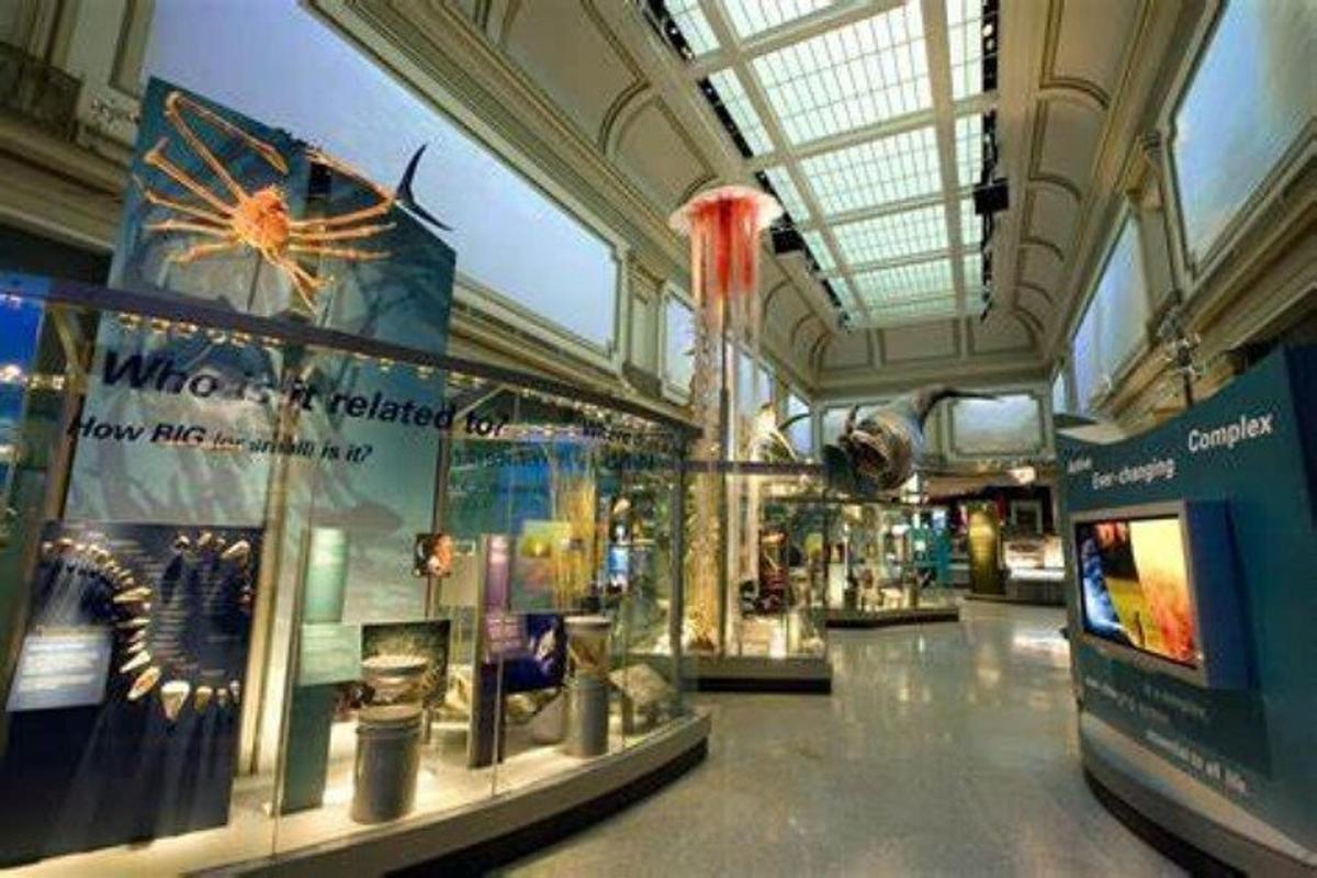 suur hoone, kus on muuseum paljude eksponaatidega