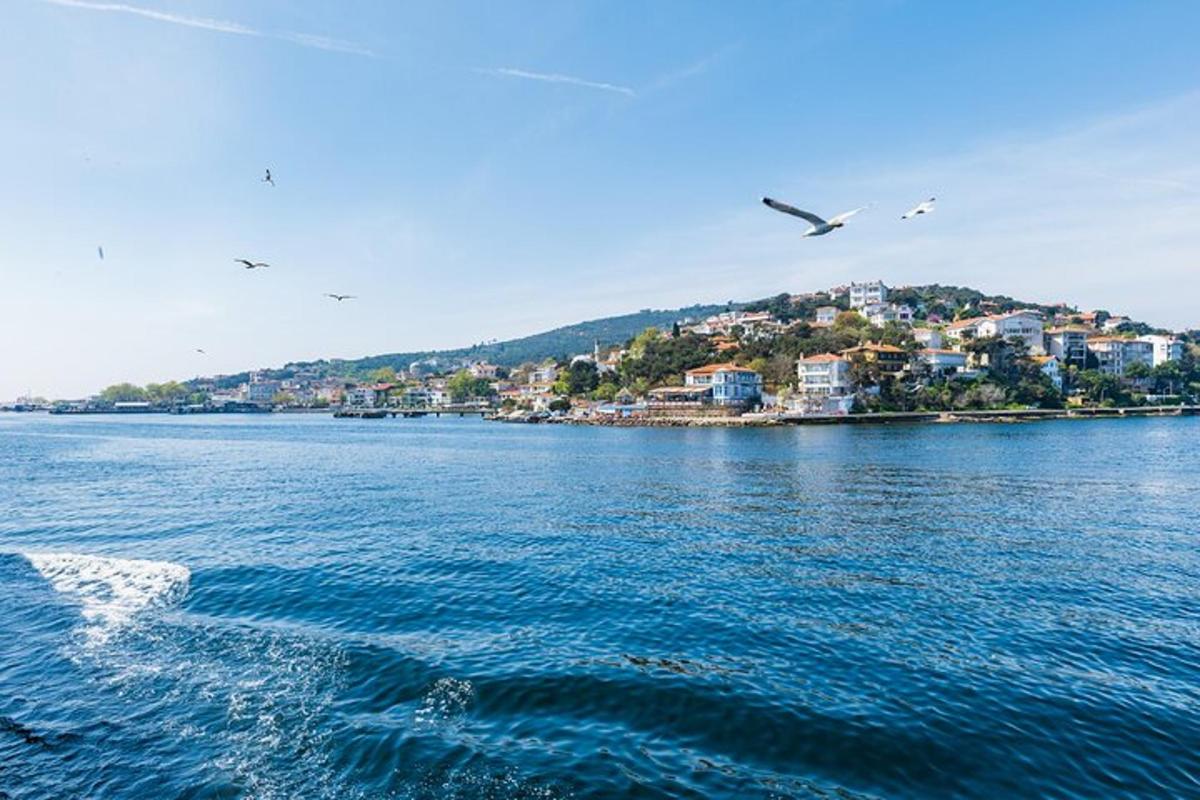 un gruppo di uccelli che volano sopra uno specchio d'acqua