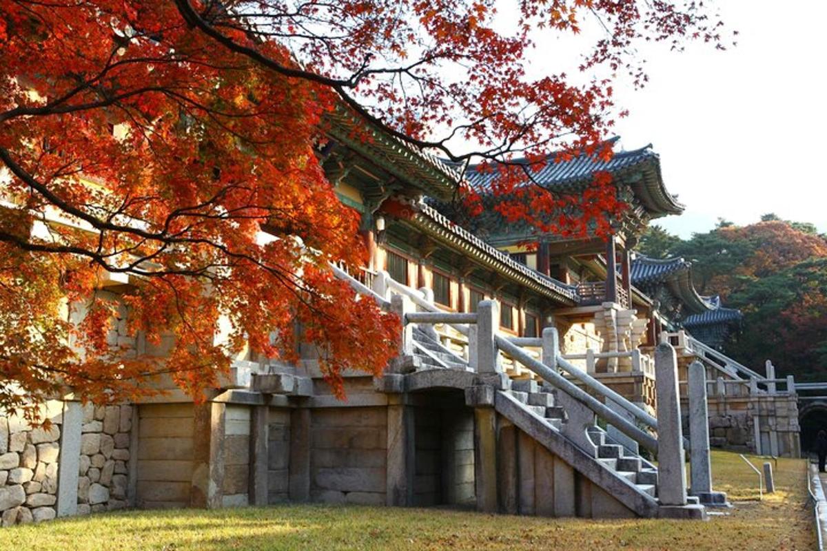 前面有楼梯的建筑物