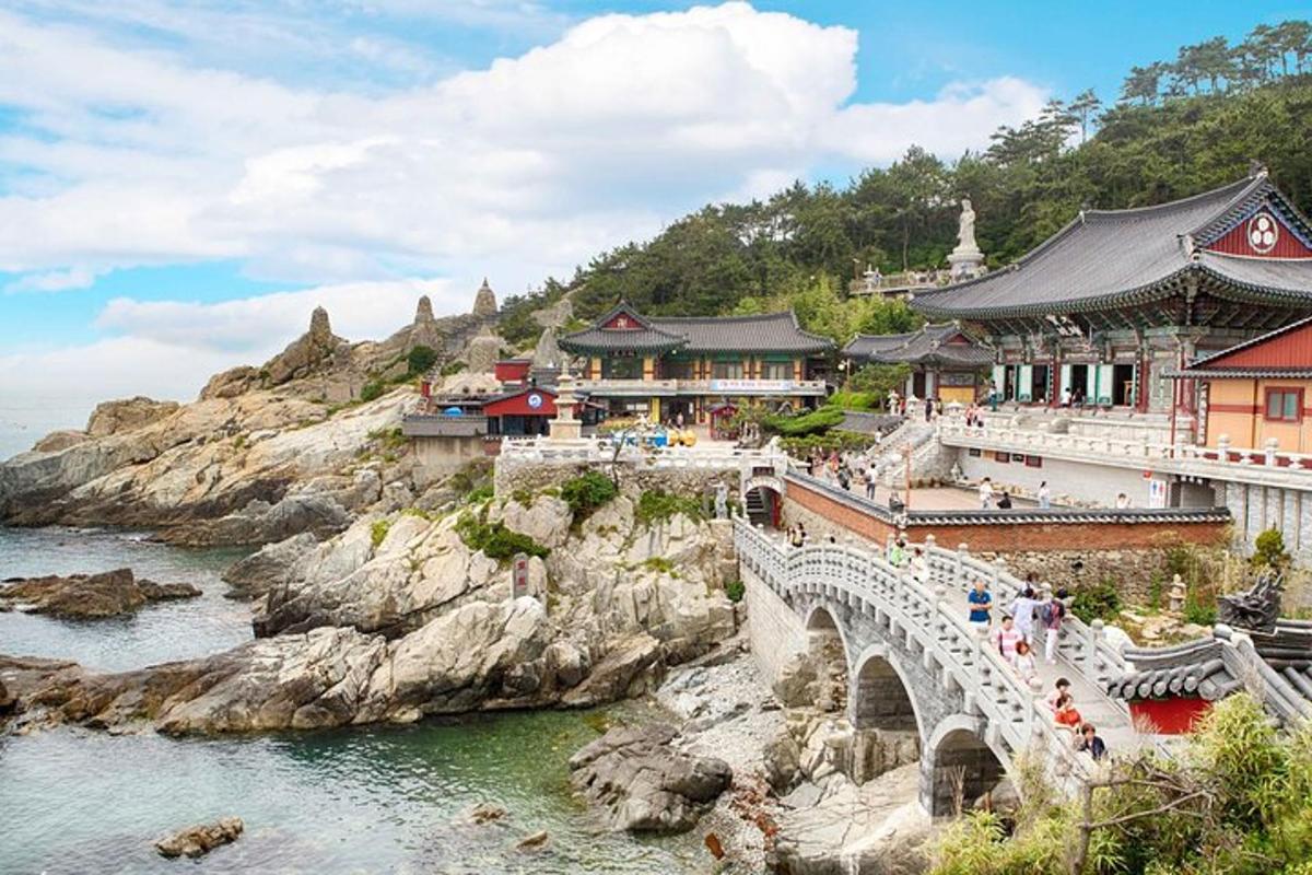 建筑物前的河上桥梁