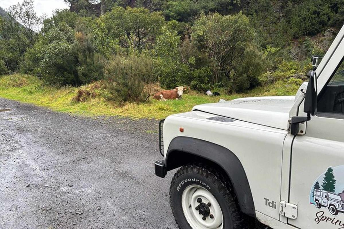 a white truck parked on the side of a road