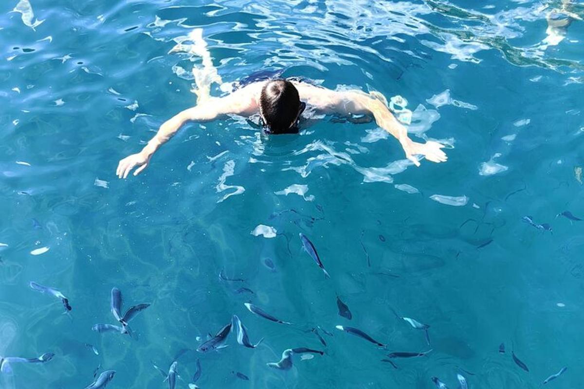 seorang pria berenang di air bersama ikan