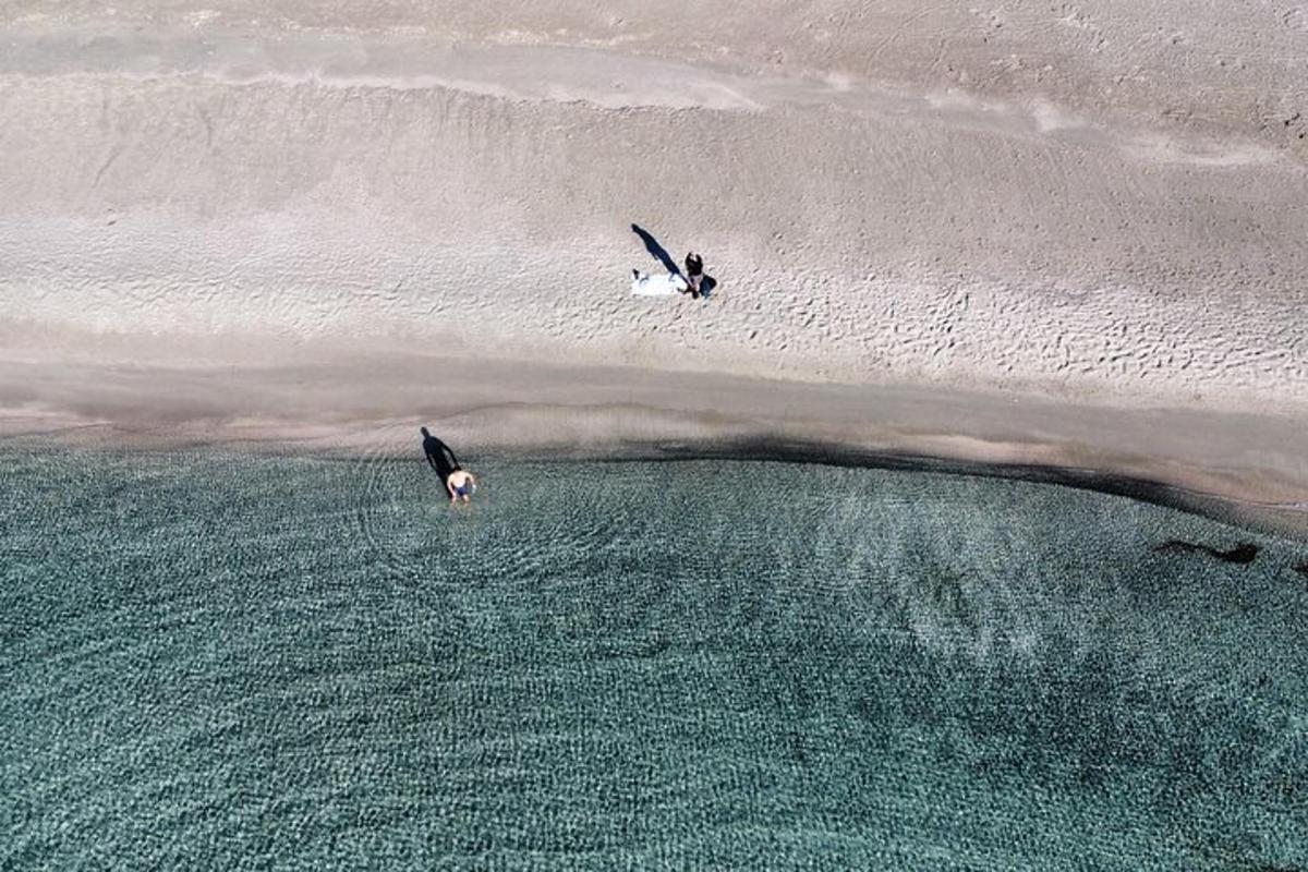 dos ocells drets en una platja vora l'aigua
