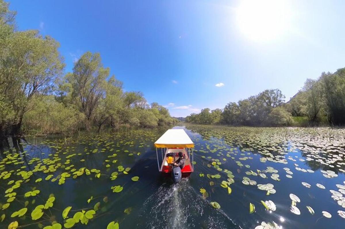 a small boat on a lake filled with lily pads