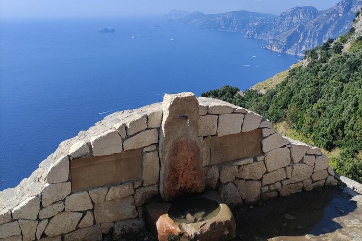 μια ασπρόμαυρη γάτα ξαπλωμένη σε έναν πέτρινο τοίχο