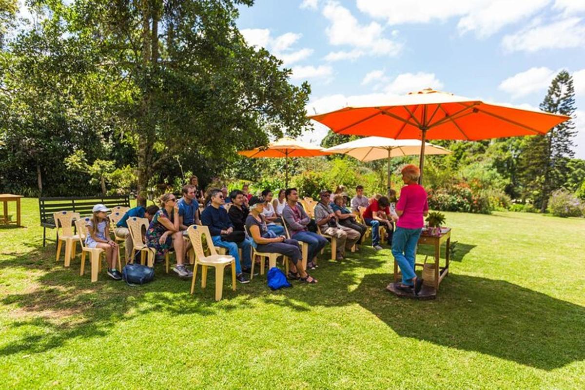 a group of people sitting in chairs under an umbrella