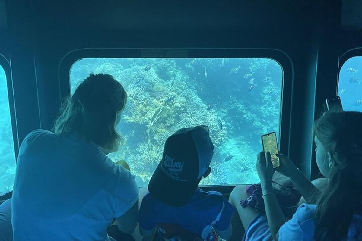 un grup de persones mirant els peixos a l'oceà