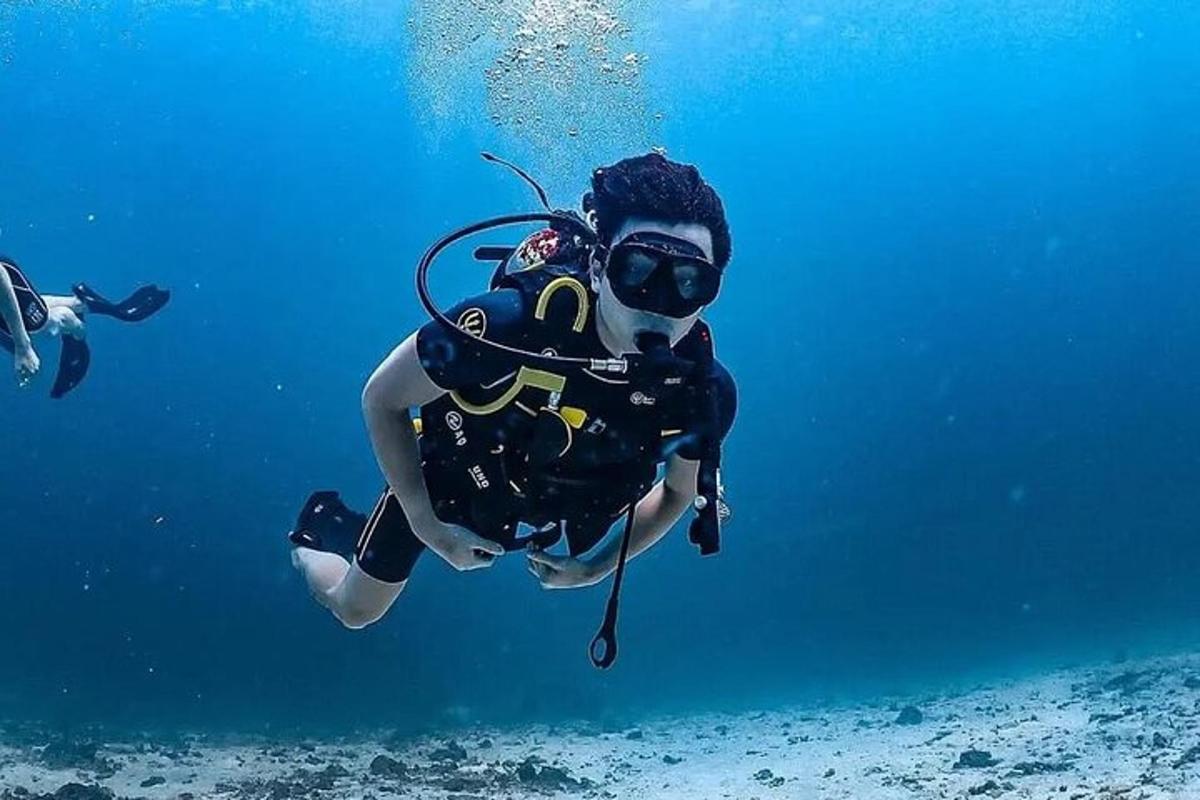 a person in a diving suit swimming in the water