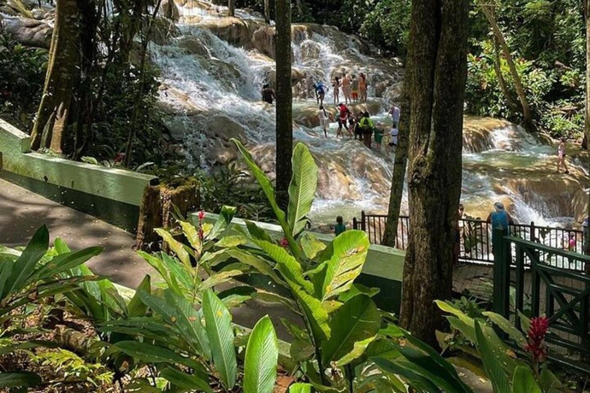 pessoas em pé em frente a uma cachoeira em um parque