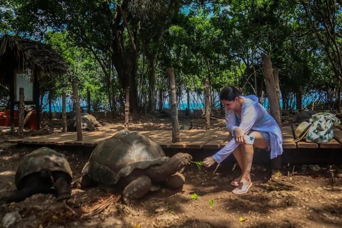 um homem alimentando duas tartarugas em um zoológico