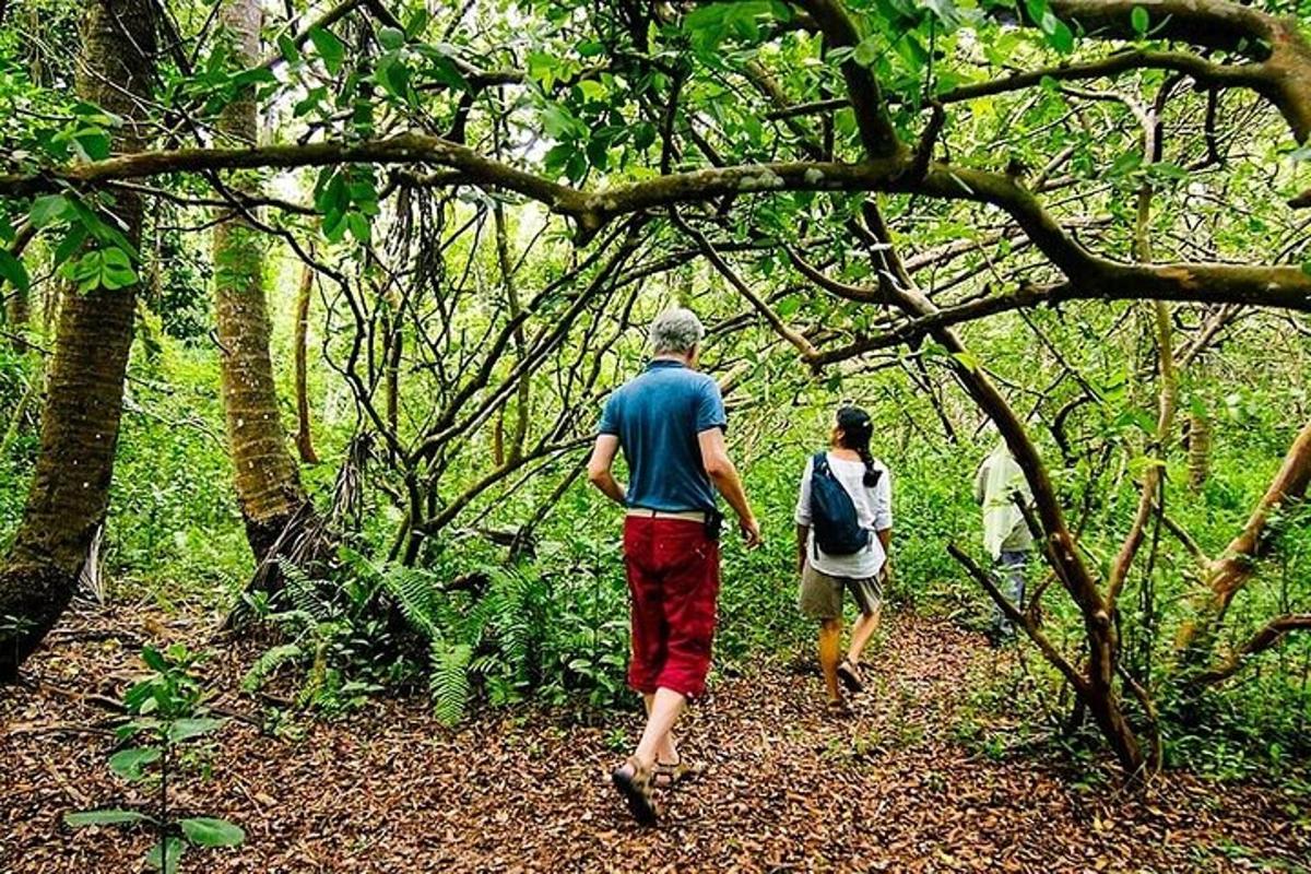 dues persones caminant per un sender al bosc