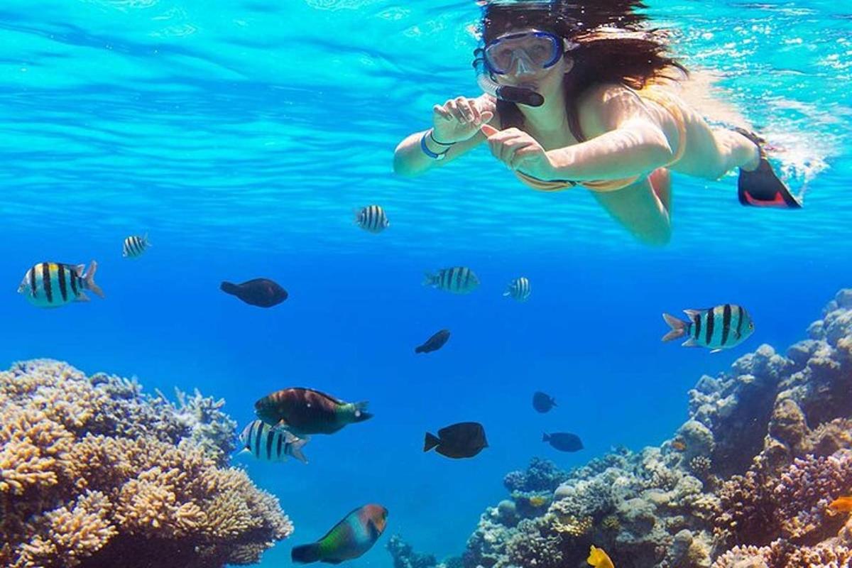 eine Frau, die mit Fischen im Wasser schwimmt