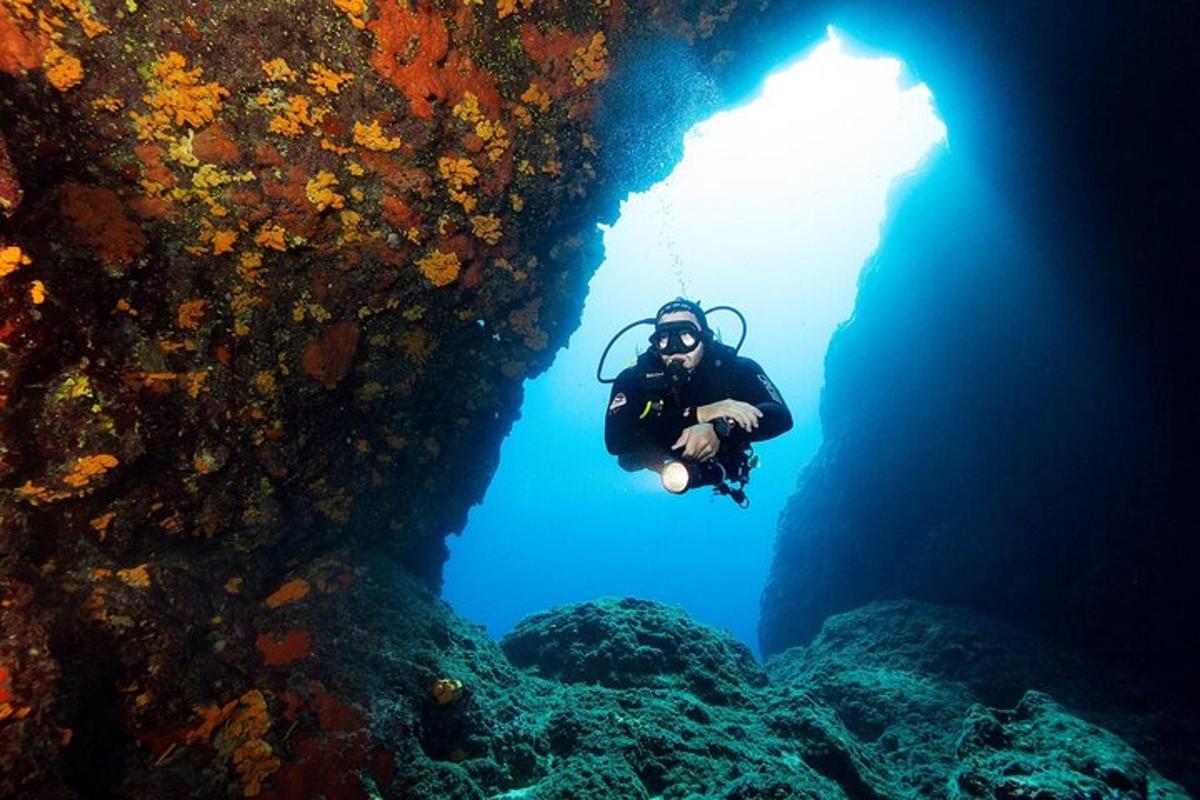 a diver in a cave with a light in the water