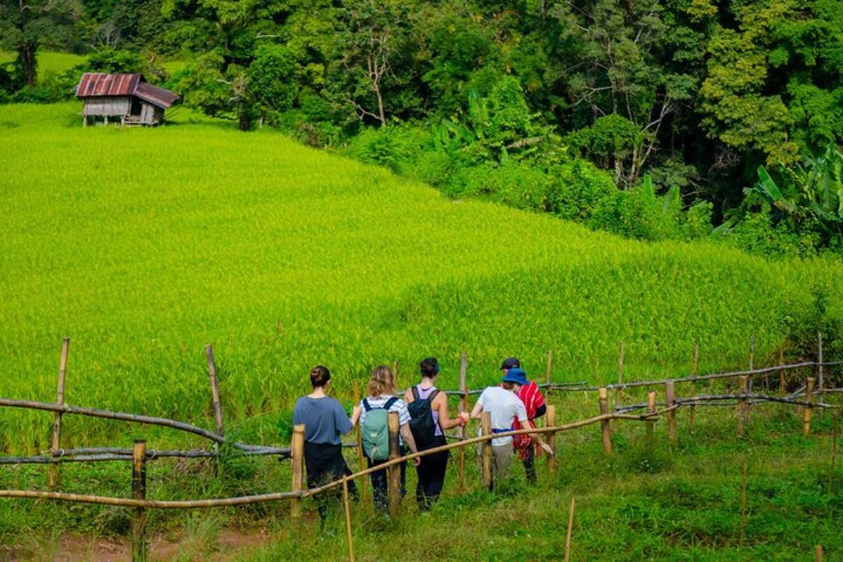un gruppo di persone che camminano in un campo