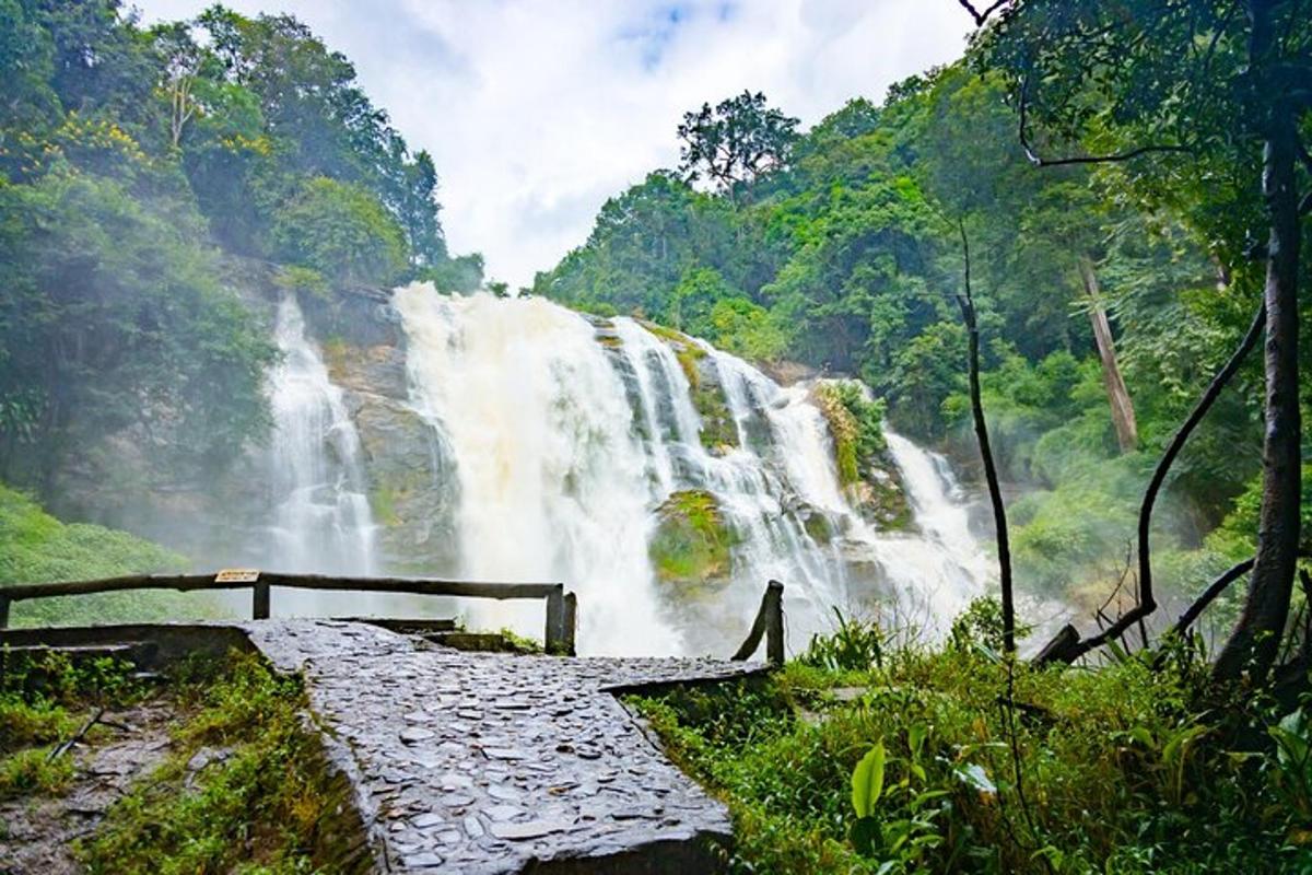 una cascata in mezzo a una foresta