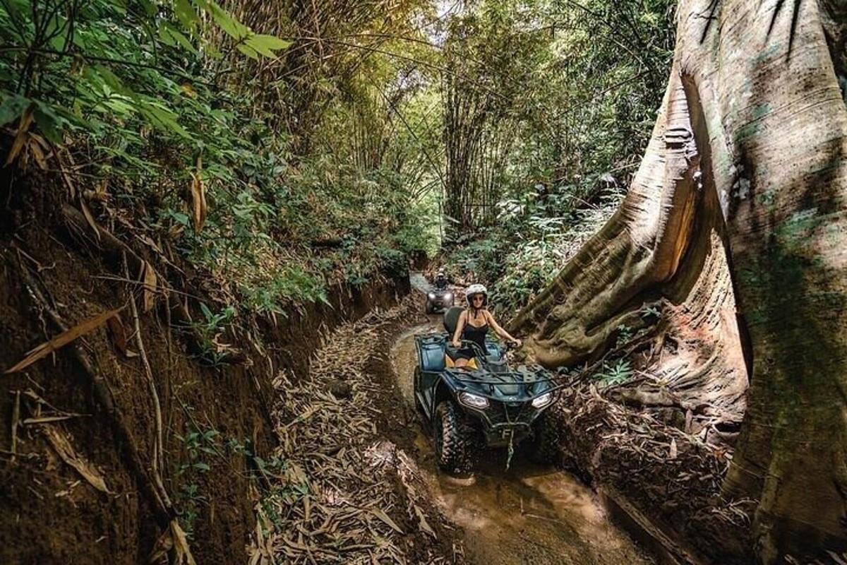 o persoană care merge cu un ATV printr-o pădure