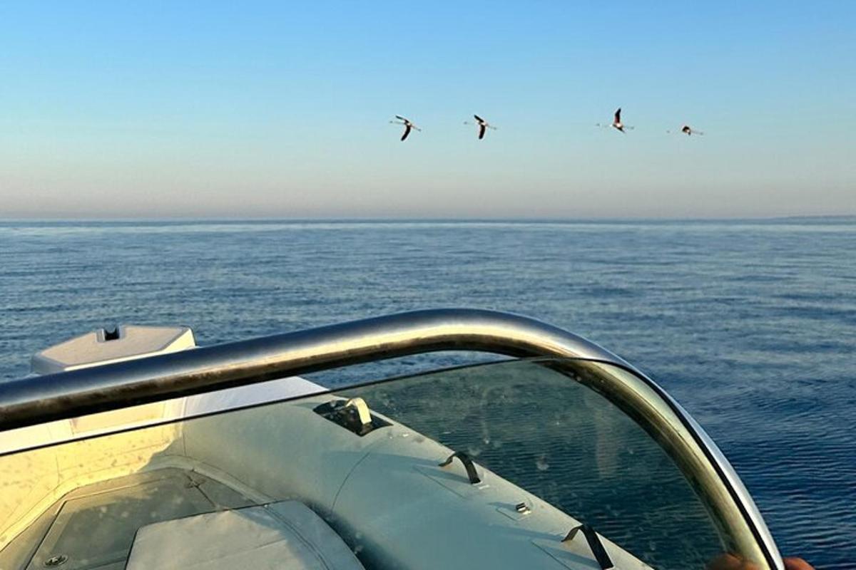 skupina letadel letících nad oceánem