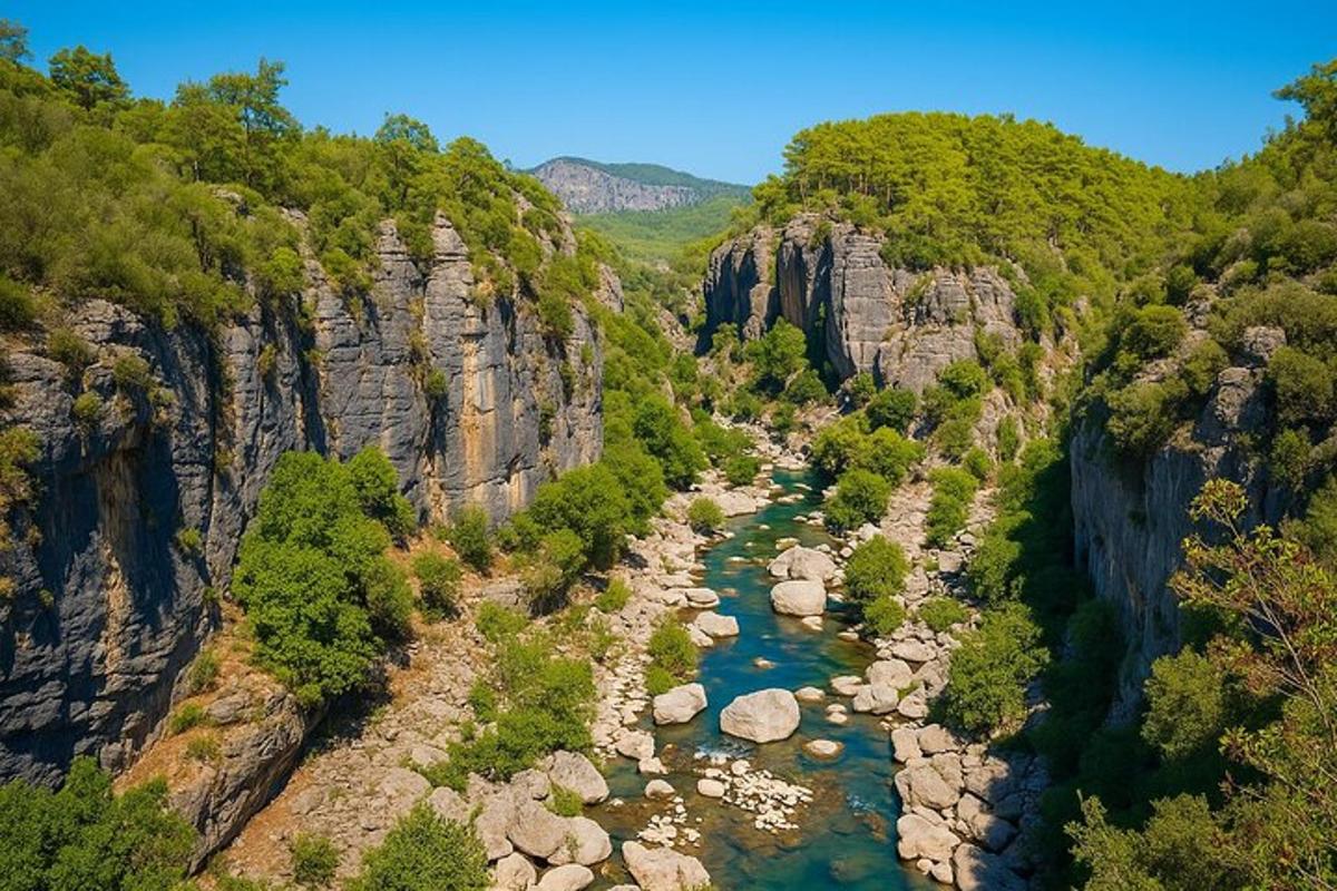 una vista aerea di un fiume in un canyon