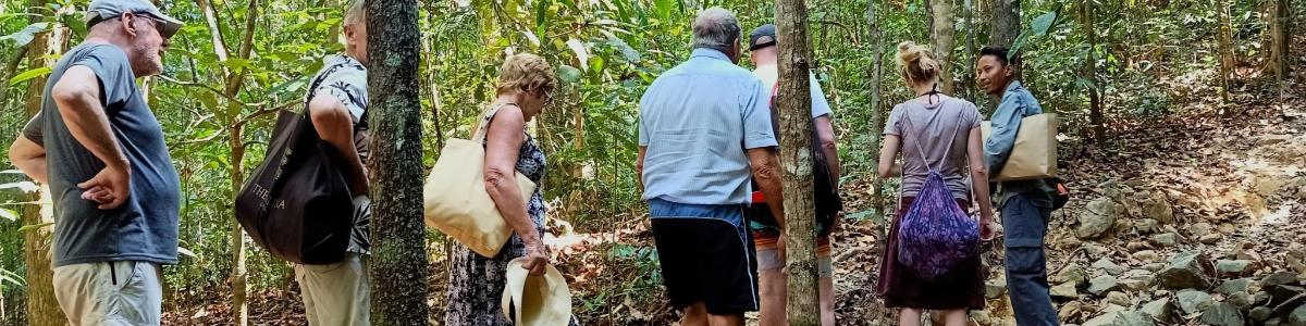un grup de persones caminant pel bosc