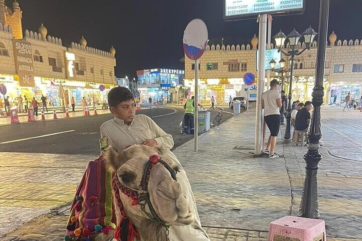 en gutt som sitter på toppen av en elefant på en gate