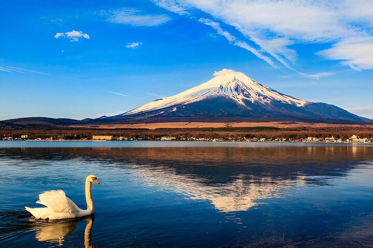 un cigno nell'acqua di fronte a una montagna innevata