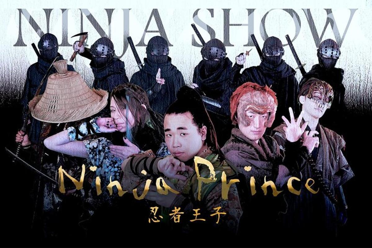a poster for the movie nina show ninaime
