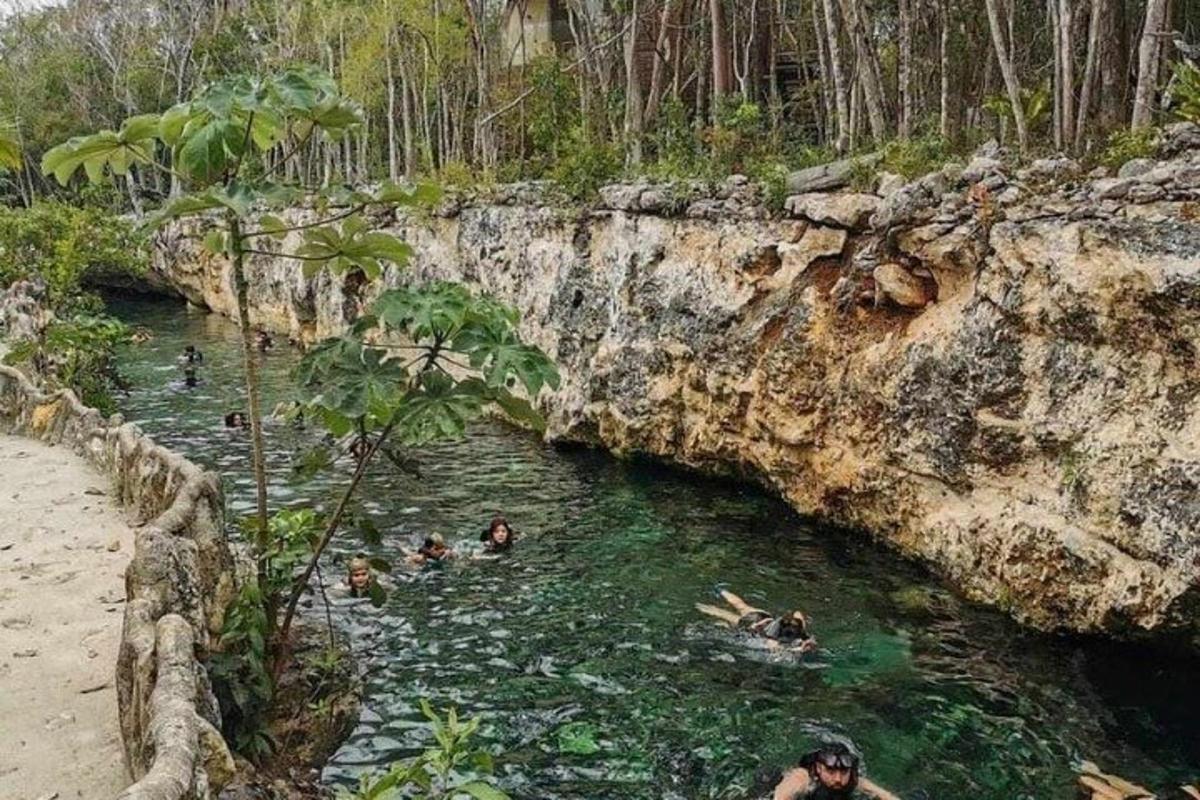 isang grupo ng mga taong lumalangoy sa isang anyong tubig