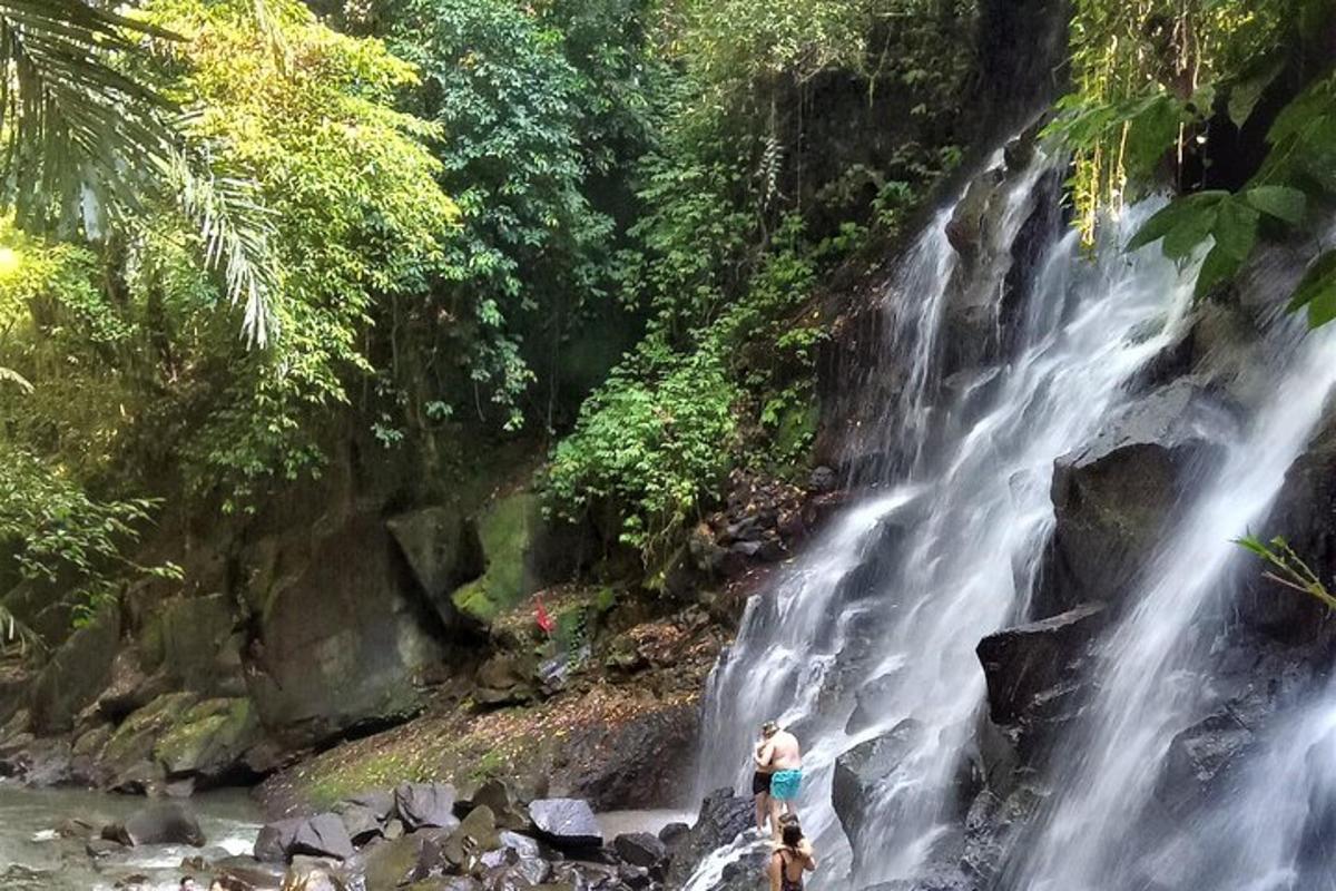 um homem parado em frente a uma cachoeira