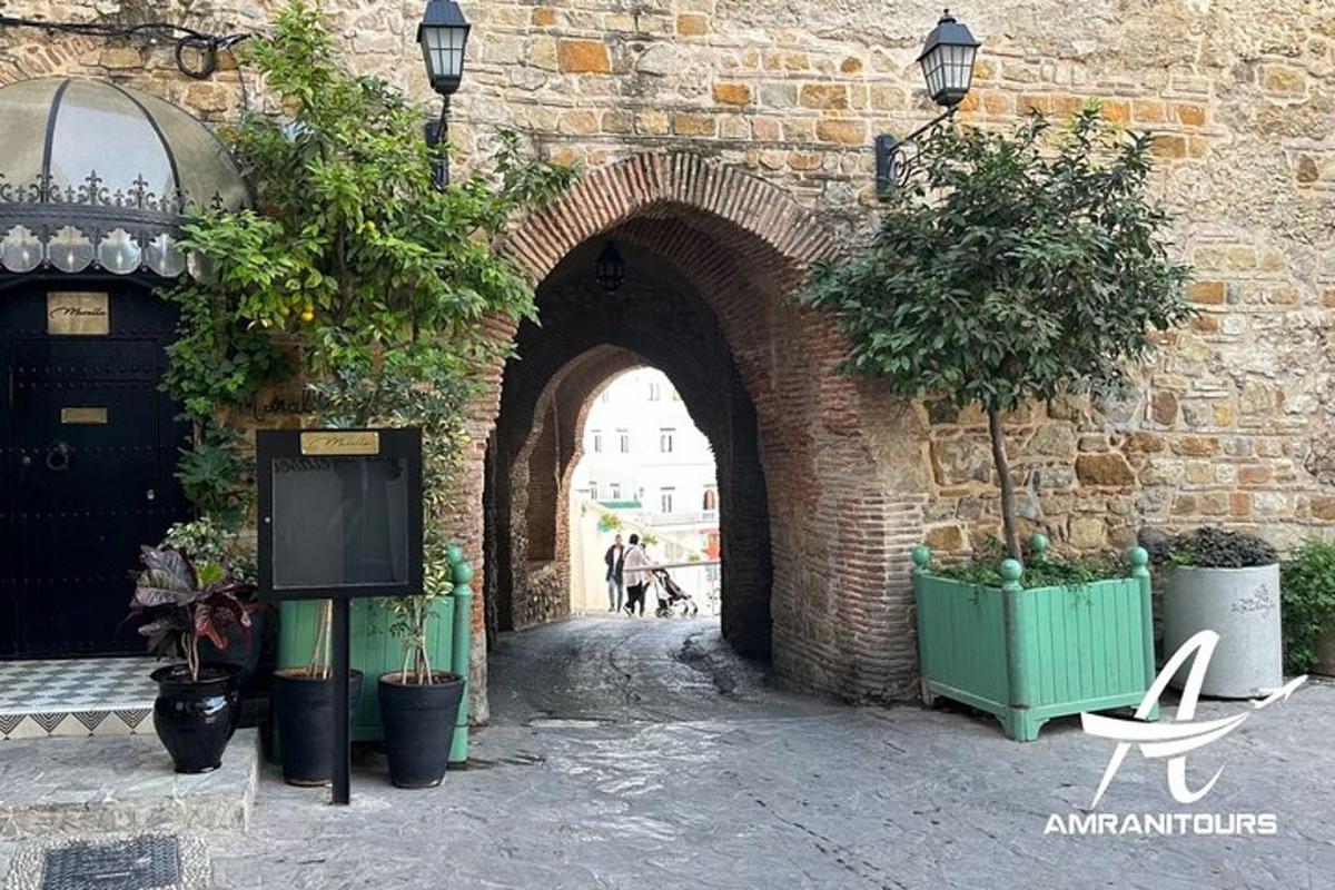 un arco con alberi in vaso in un edificio in mattoni