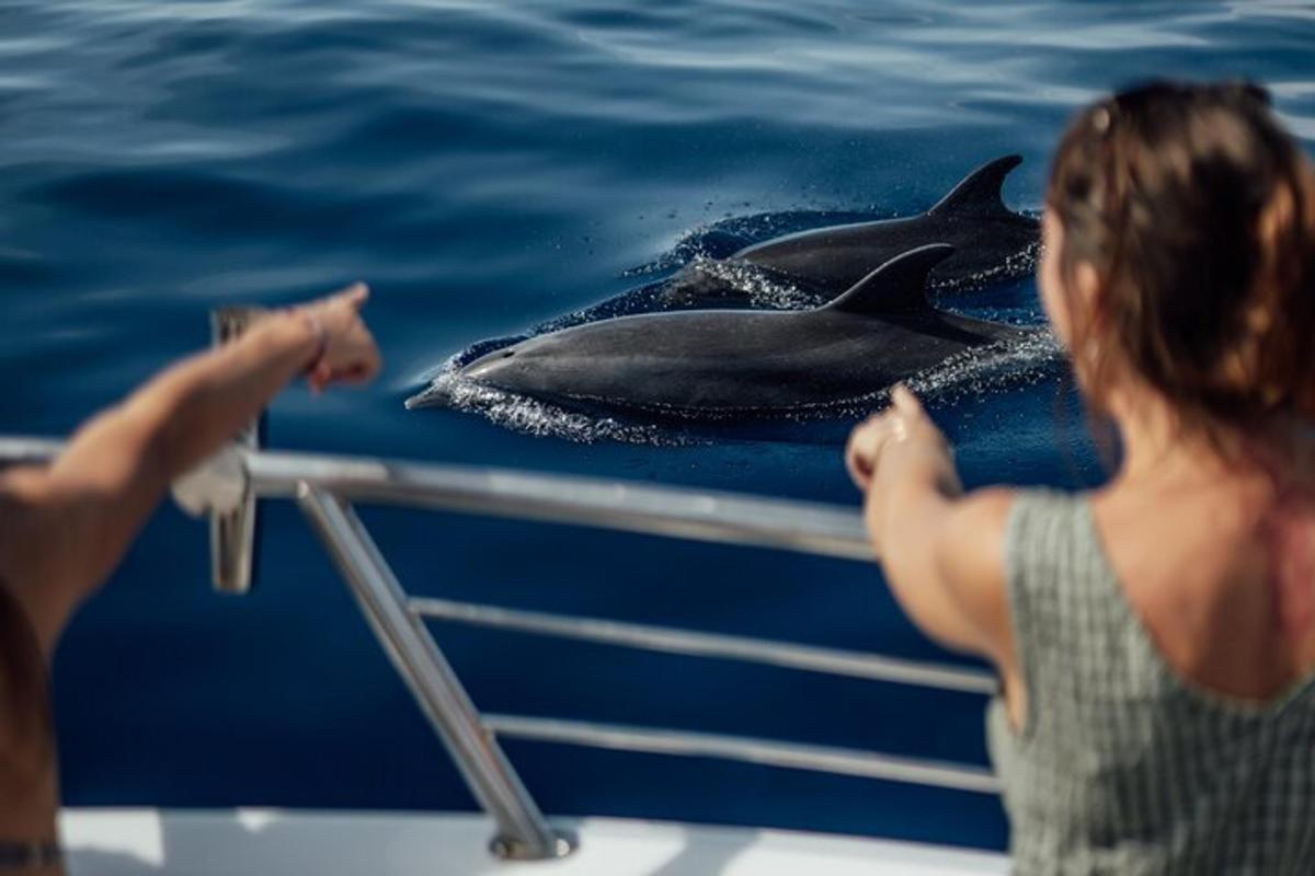 una donna che guarda un delfino su una barca