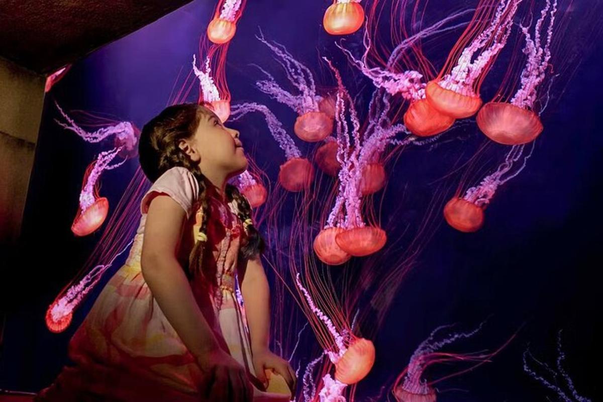 a little girl is sitting in front of a jellyfish