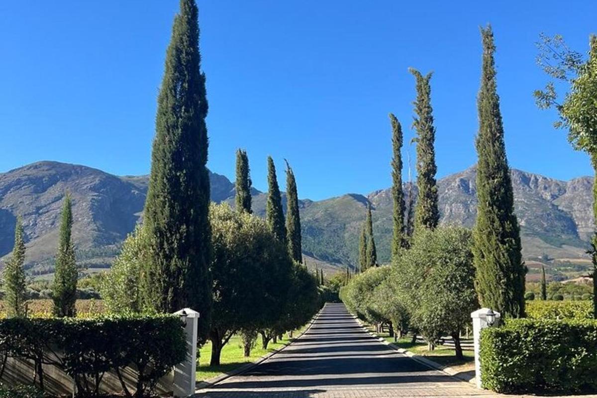Una carretera bordeada de árboles con montañas al fondo