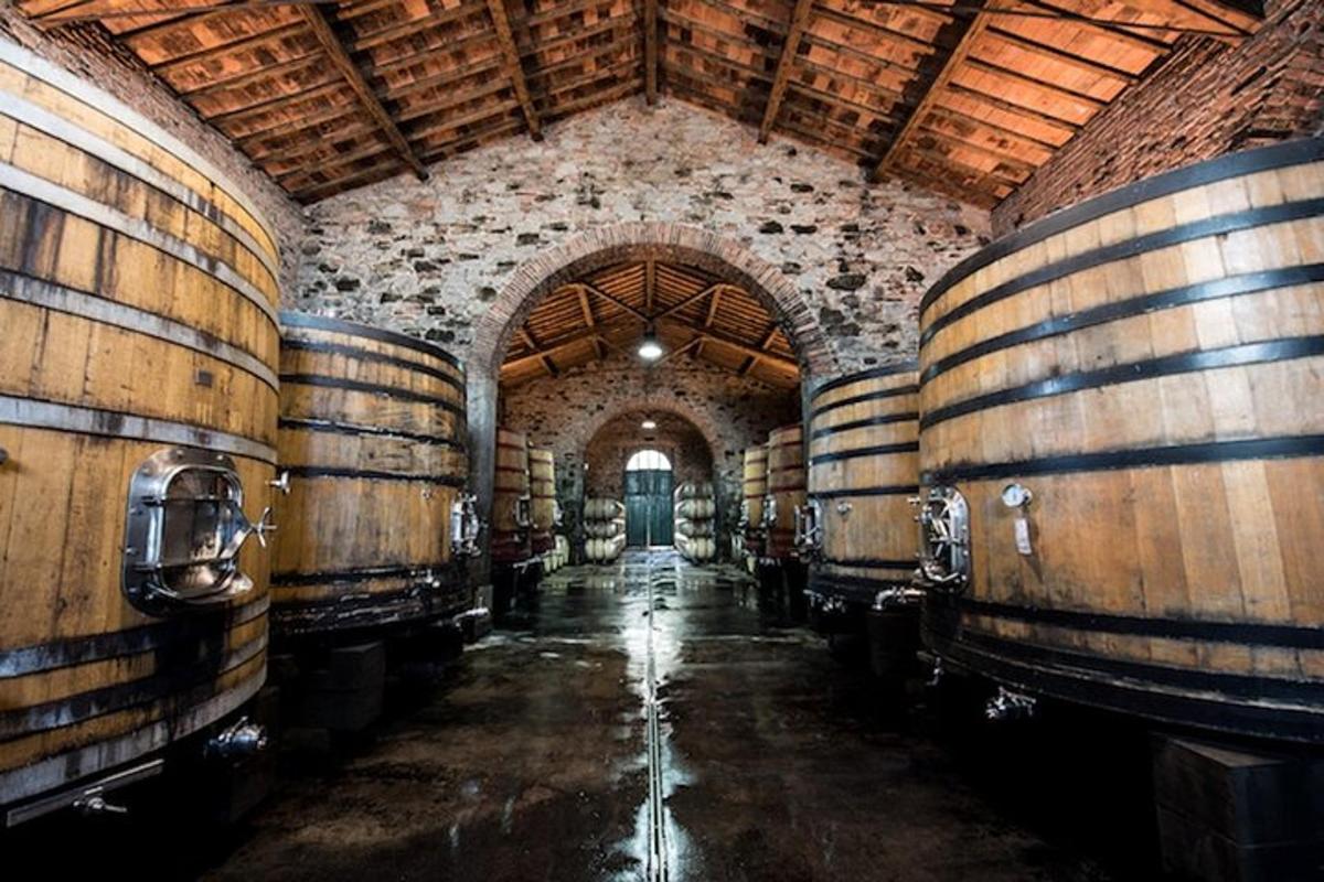 una stanza con molte botti di vino in un edificio
