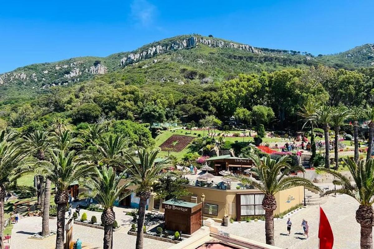 una vista di un resort con palme e una montagna