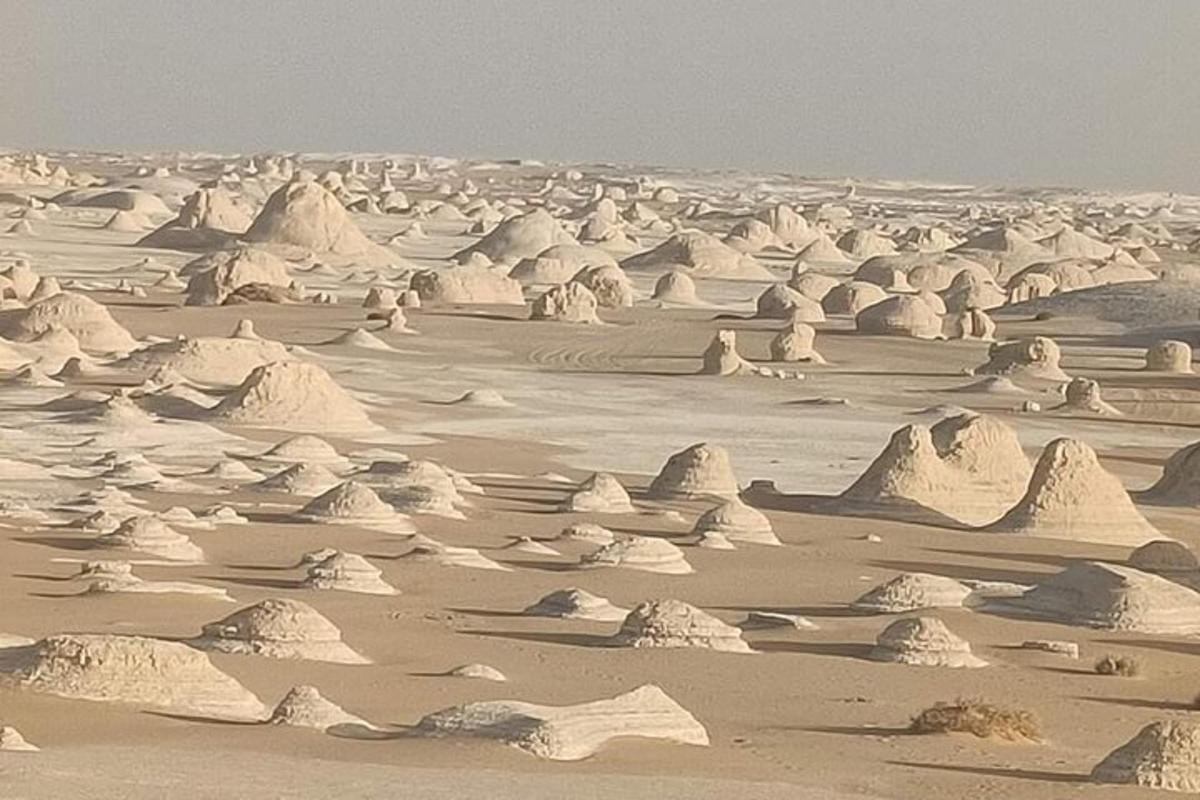 en ørken med mye hvit sand og steiner