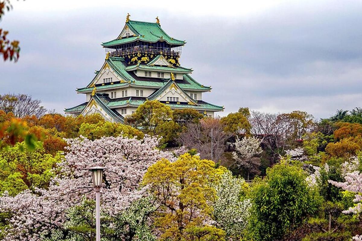 un castell japonès amb arbres sakura al davant