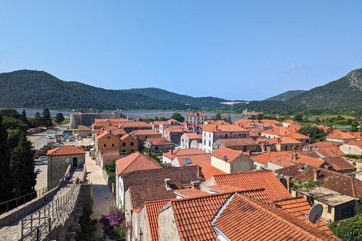 pohled na město s červenými střechami